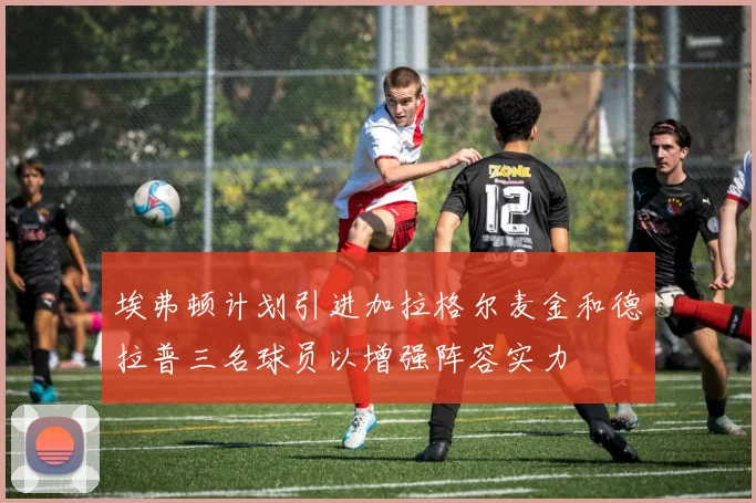 埃弗顿计划引进加拉格尔麦金和德拉普三名球员以增强阵容实力